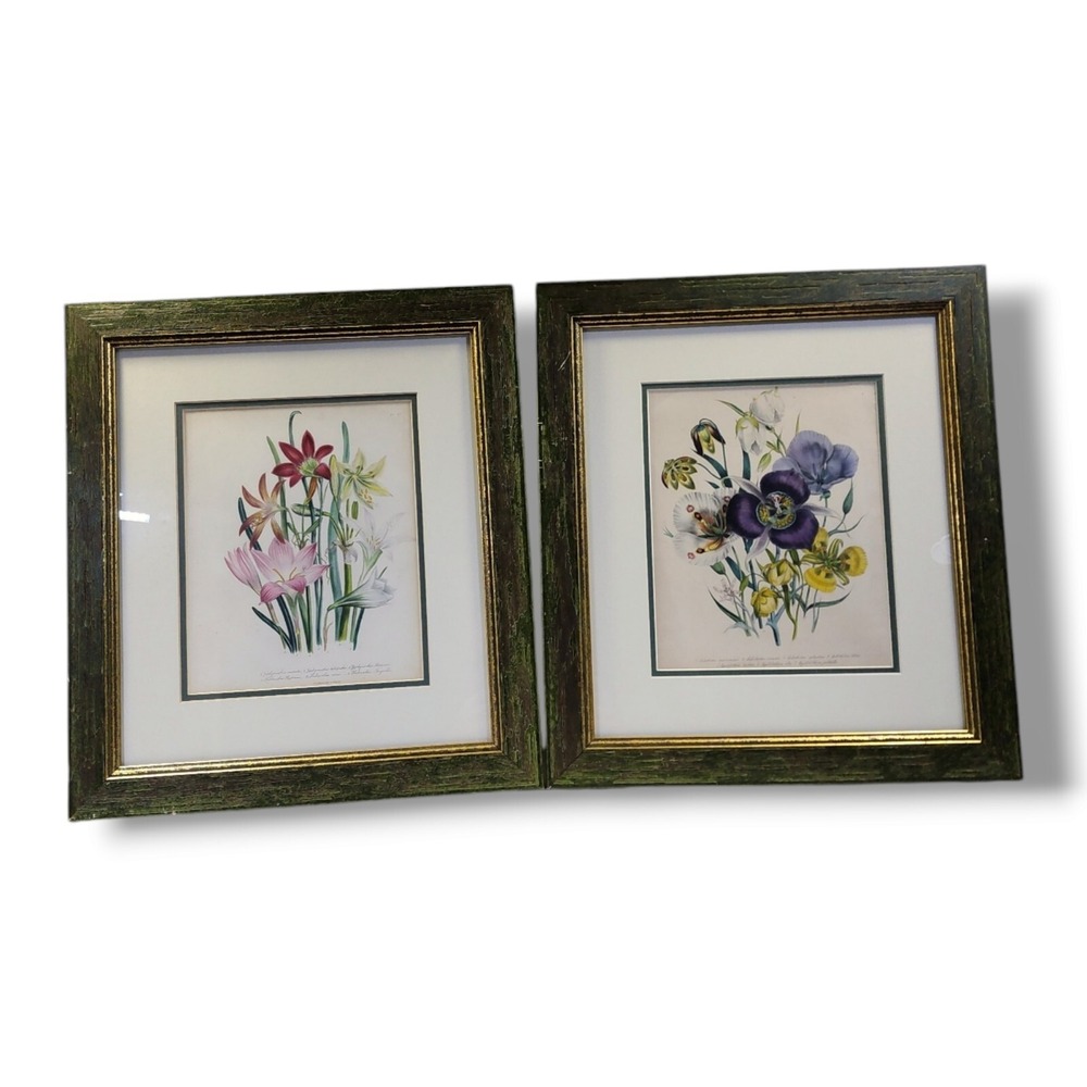 J.W. LOUDON Ladies Flower Garden of Ornamental Bulbous Plants 1846 Set of 2